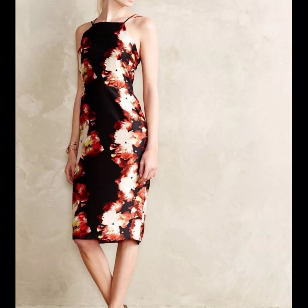 Anthropologie Paeonia Sheath Dress Greylin Size S